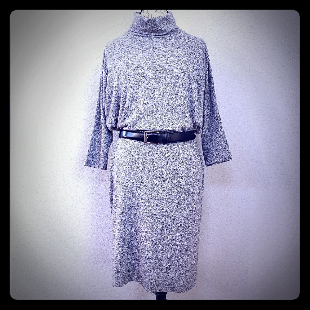 Bobeau Knit Dolman Sleeve Dress